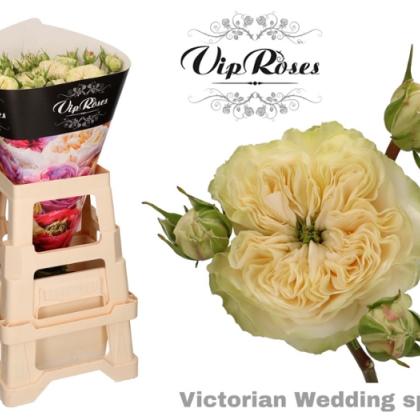 Spray Rose Victorian Wedding Spray Rose Victorian Wedding