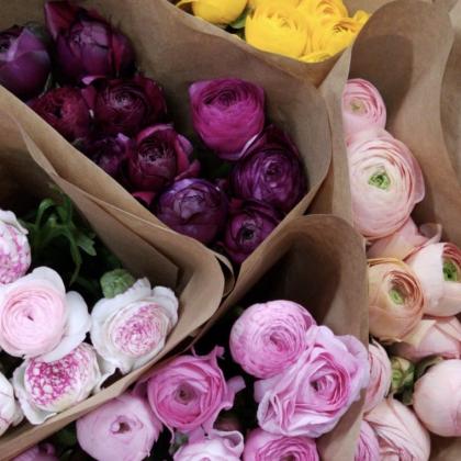 Ranunculus Asst