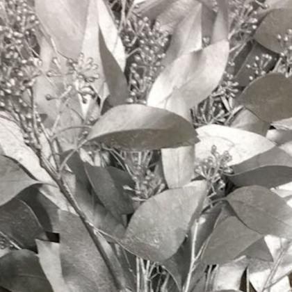 Eucalyptus Seeded Painted Silver Eucalyptus Seeded Painted Silver