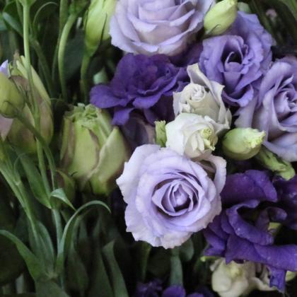 Lisianthus Lav/Ppl Lisianthus Lav/Ppl